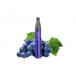 KIWI GO PLUS Starter Kit GRAPE ICE